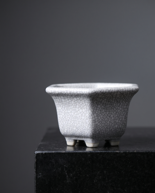 Round Crack-Glaze Succulent Pot — Ivory Crackle - lifestyle