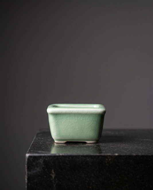 Rectangle Crack-Glaze Succulent Pot — Celadon Crackle - lifestyle
