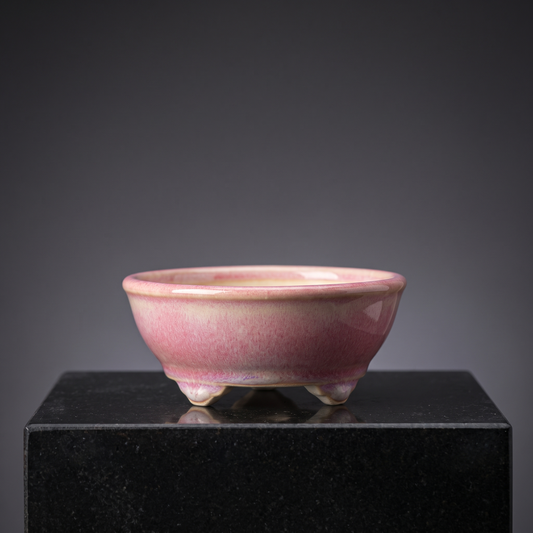 Cloud-Foot Begonia Bonsai Pot — Blush Pink - packshot