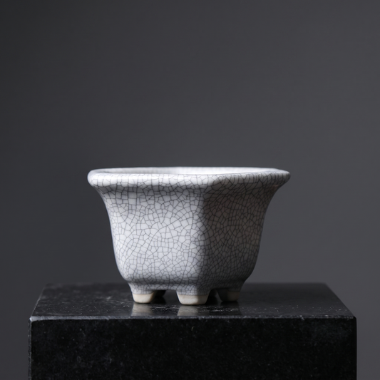 Round Crack-Glaze Succulent Pot — Ivory Crackle - packshot