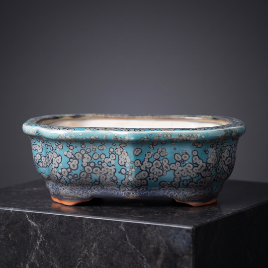 Porcelain Bonsai Pot — Speckled Teal Crackle - packshot