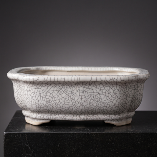 Porcelain Bonsai Pot — Ivory Crackle - packshot