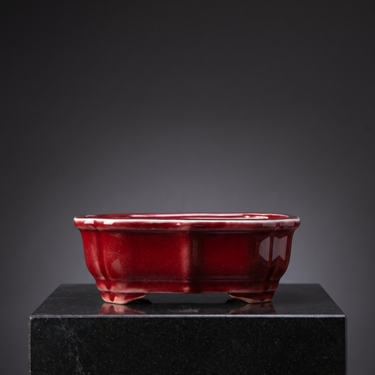 Porcelain Bonsai Pot — Glossy Oxblood Red - packshot