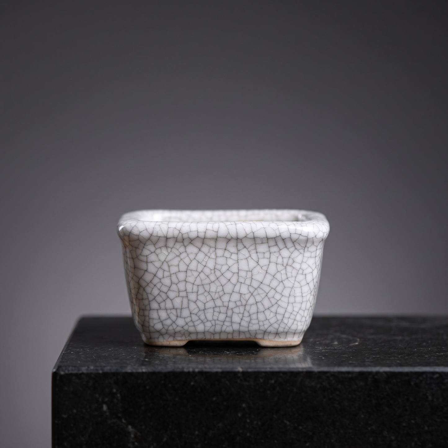 Rectangle Crack-Glaze Succulent Pot — Ivory Crackle - packshot