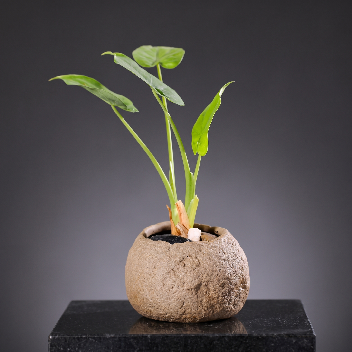 Handmade Stoneware Vase — Pebble Knoll - packshot