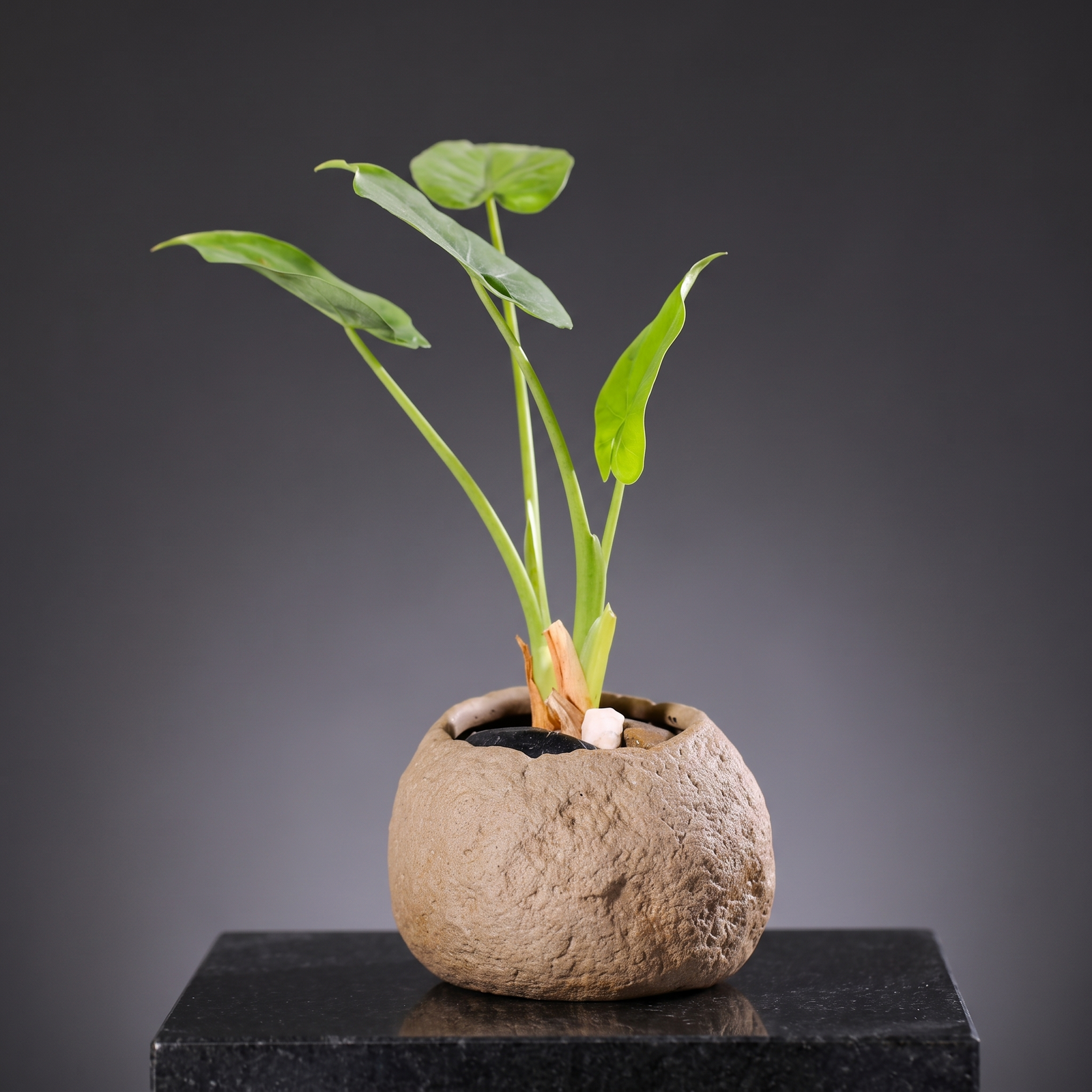 Handmade Stoneware Vase — Pebble Knoll - packshot