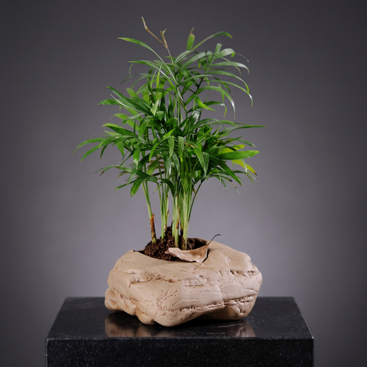Handmade Stoneware Vase — Rugged Peak - packshot