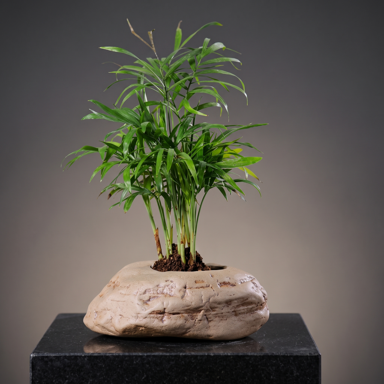 Handmade Stoneware Vase — Canyon Rock - packshot