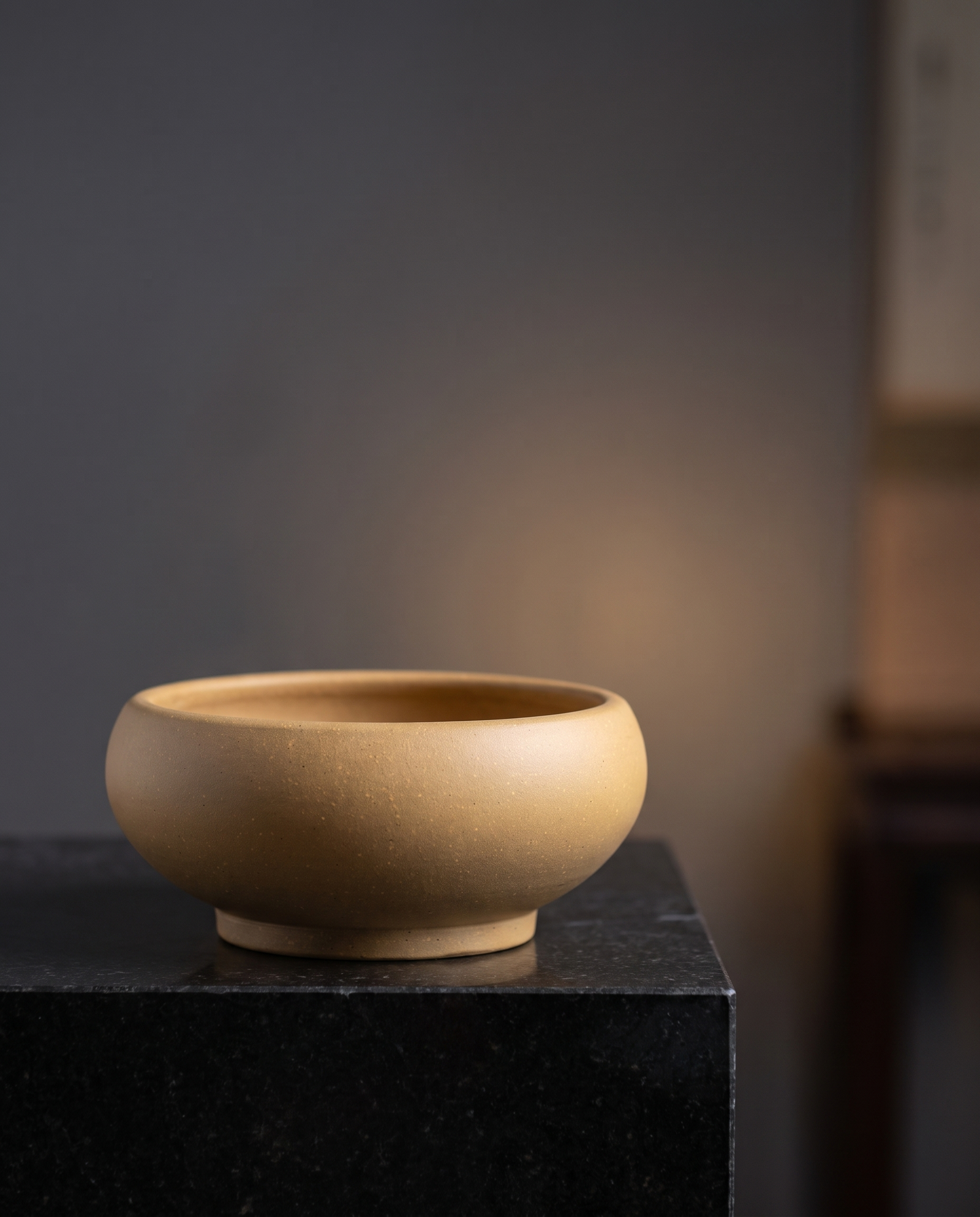 Wide Basin Stoneware Bonsai Bowl — Champagne Sand - lifestyle