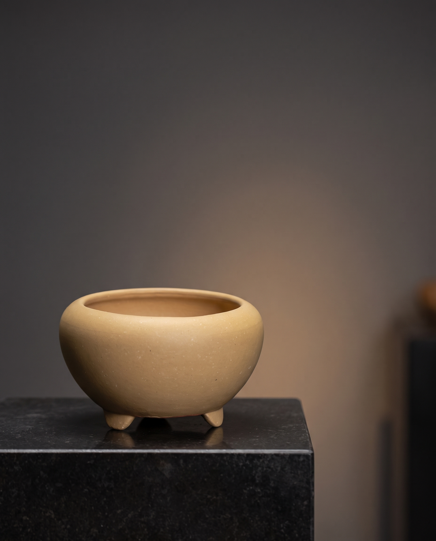Footed Stoneware Bonsai Bowl — Champagne Sand - lifestyle