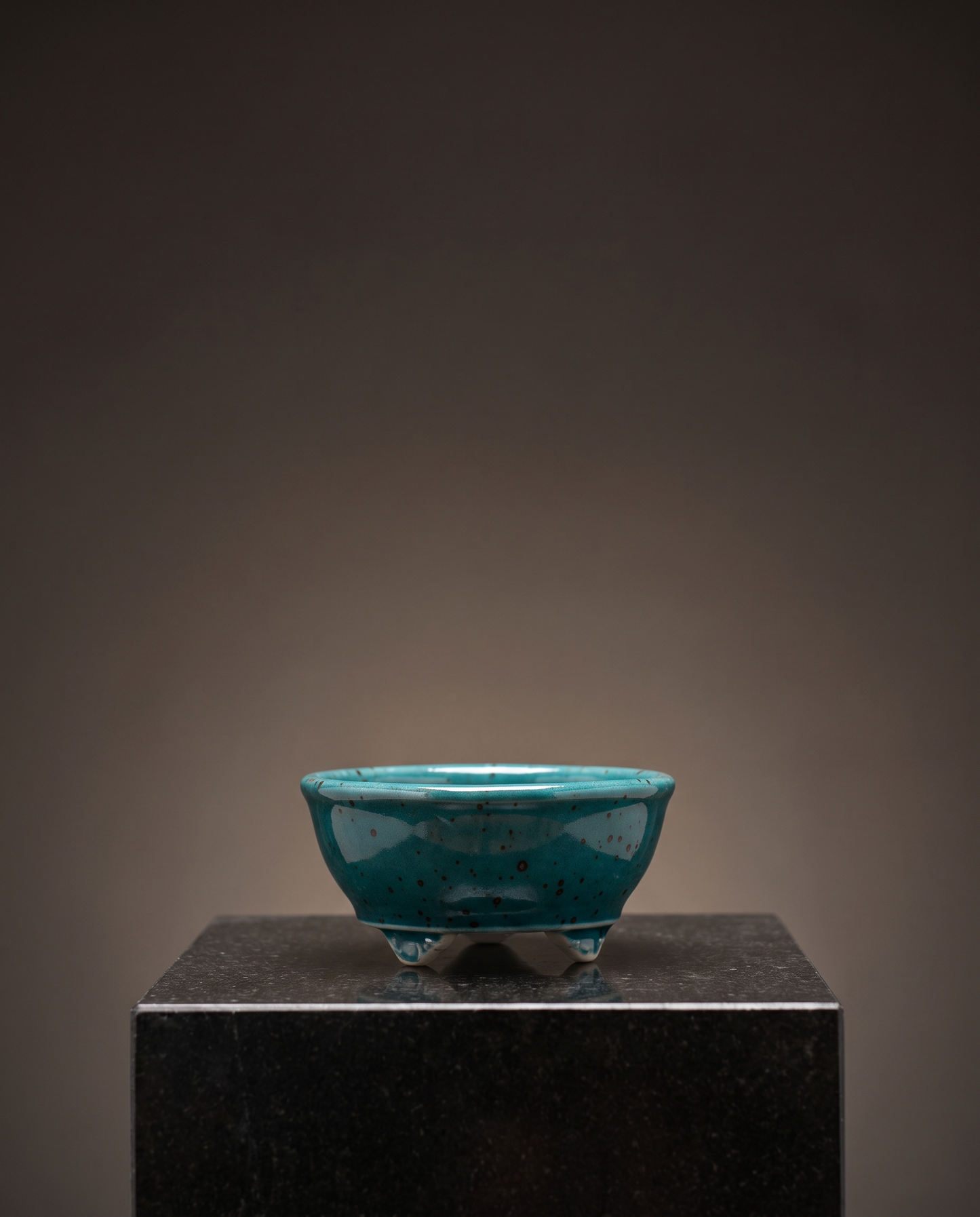 Cloud-Foot Begonia Bonsai Pot — Speckled Peacock Teal - lifestyle