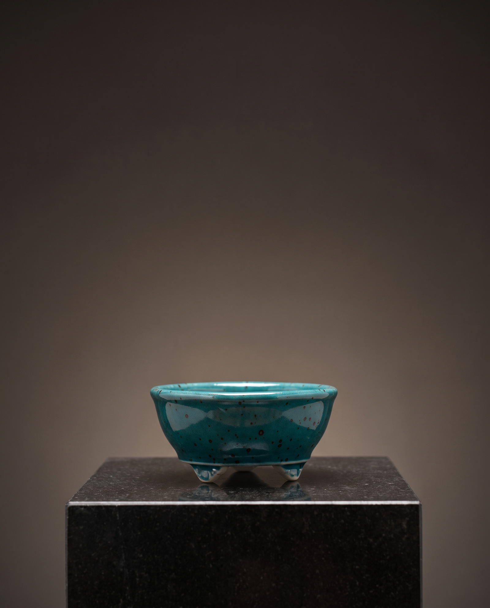 Cloud-Foot Begonia Bonsai Pot — Speckled Peacock Teal - lifestyle