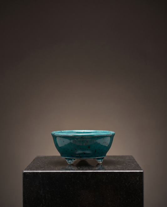 Cloud-Foot Begonia Bonsai Pot — Speckled Peacock Teal - lifestyle