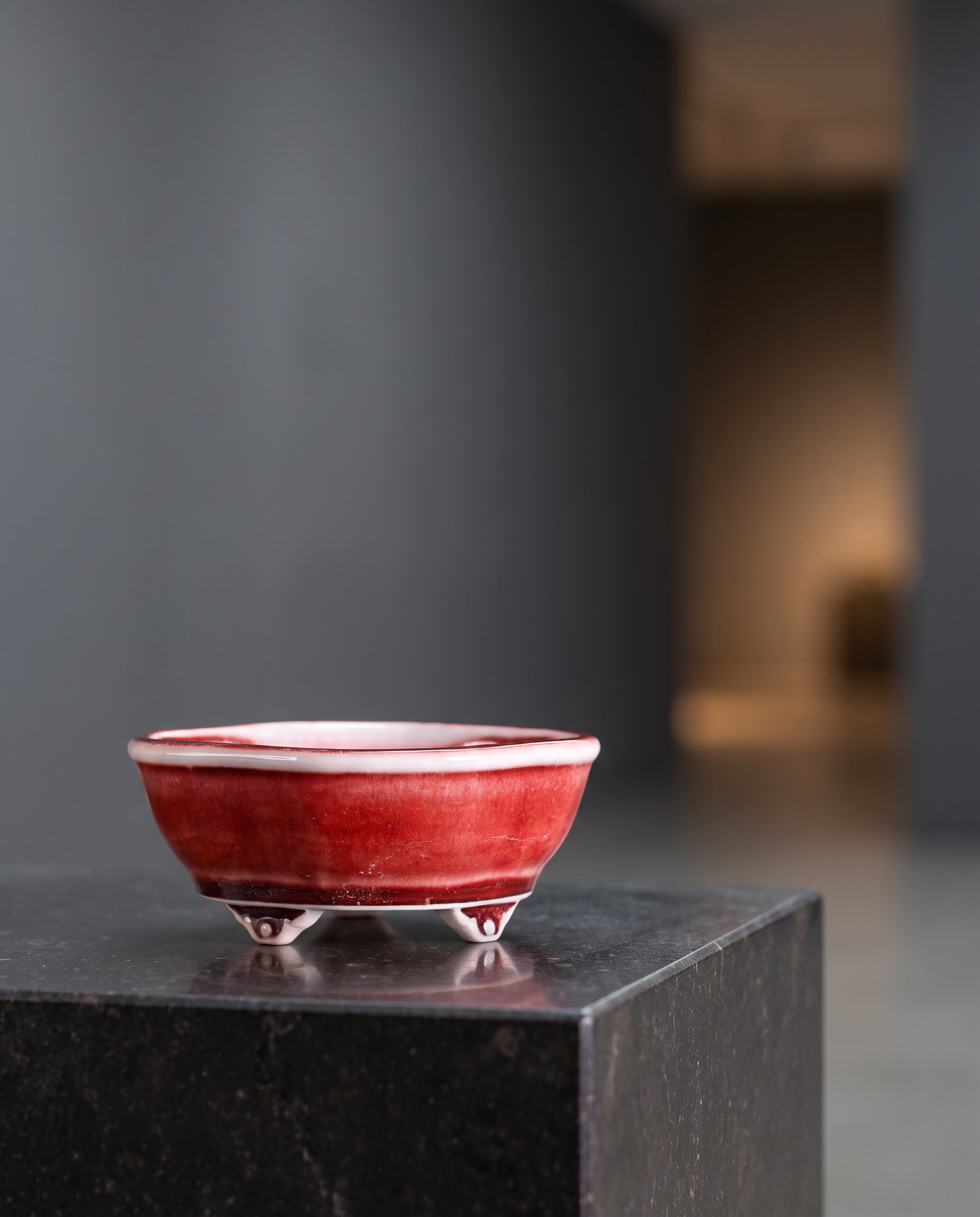 Cloud-Foot Begonia Bonsai Pot — Sang-de-Boeuf Red - lifestyle