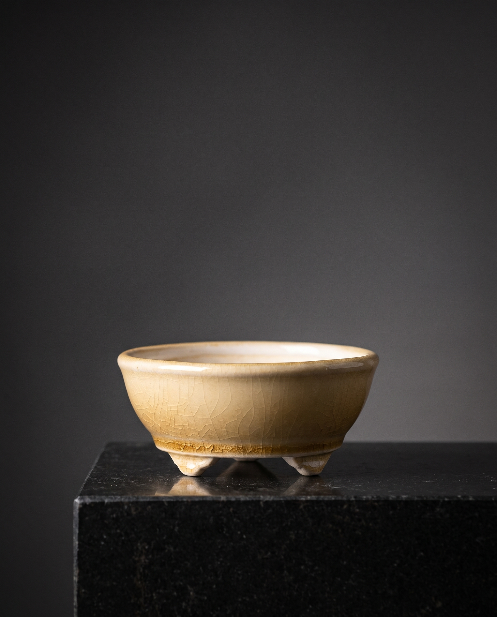Cloud-Foot Begonia Bonsai Pot — Golden Caramel Crackle - lifestyle