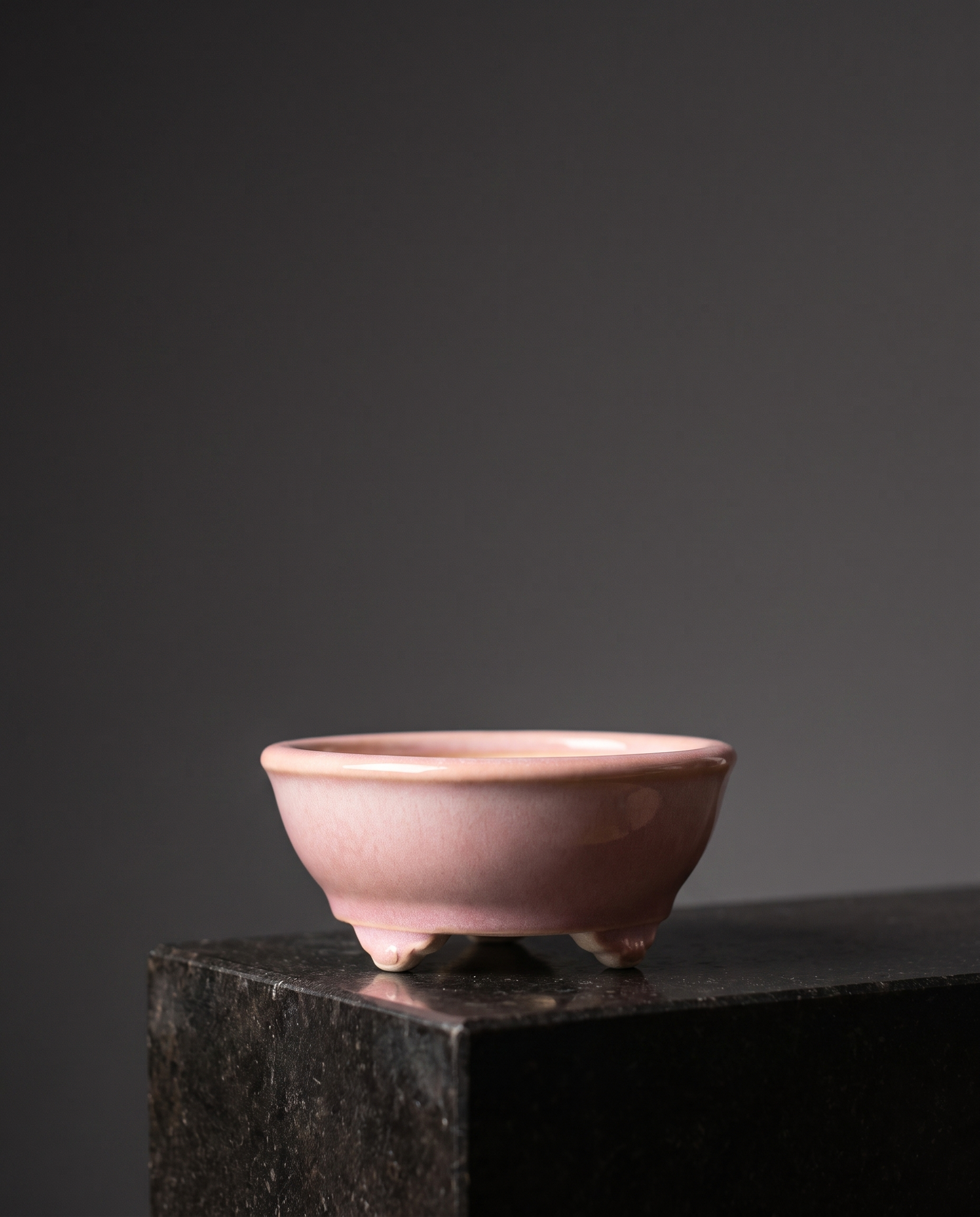 Cloud-Foot Begonia Bonsai Pot — Blush Pink - lifestyle