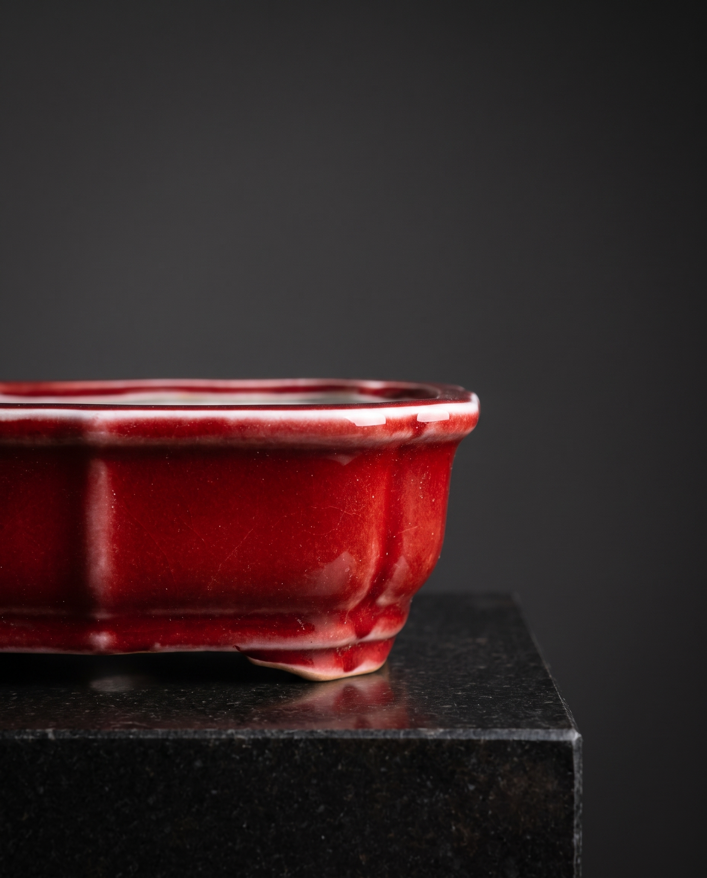 Porcelain Bonsai Pot — Glossy Oxblood Red - lifestyle