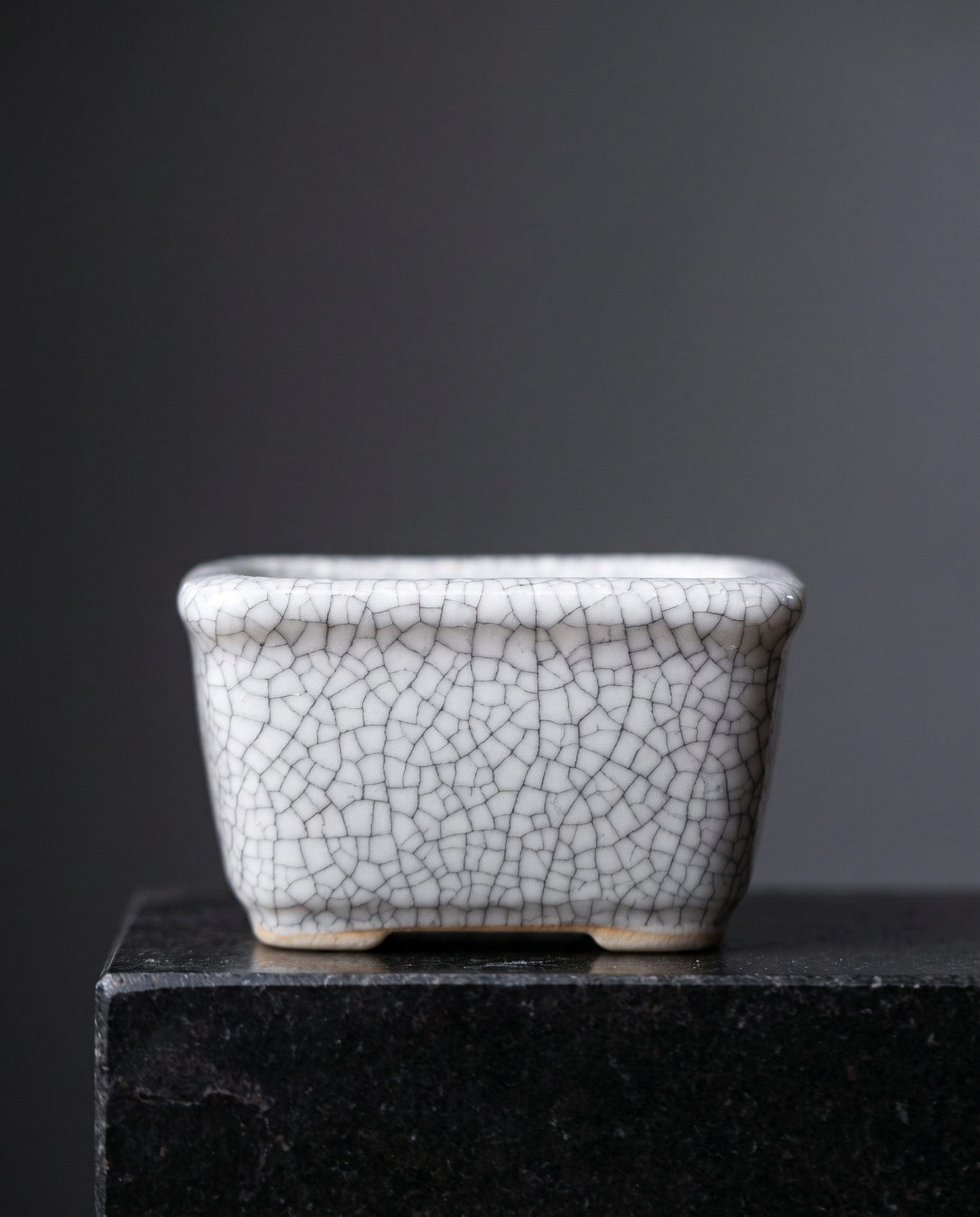 Rectangle Crack-Glaze Succulent Pot — Ivory Crackle - lifestyle