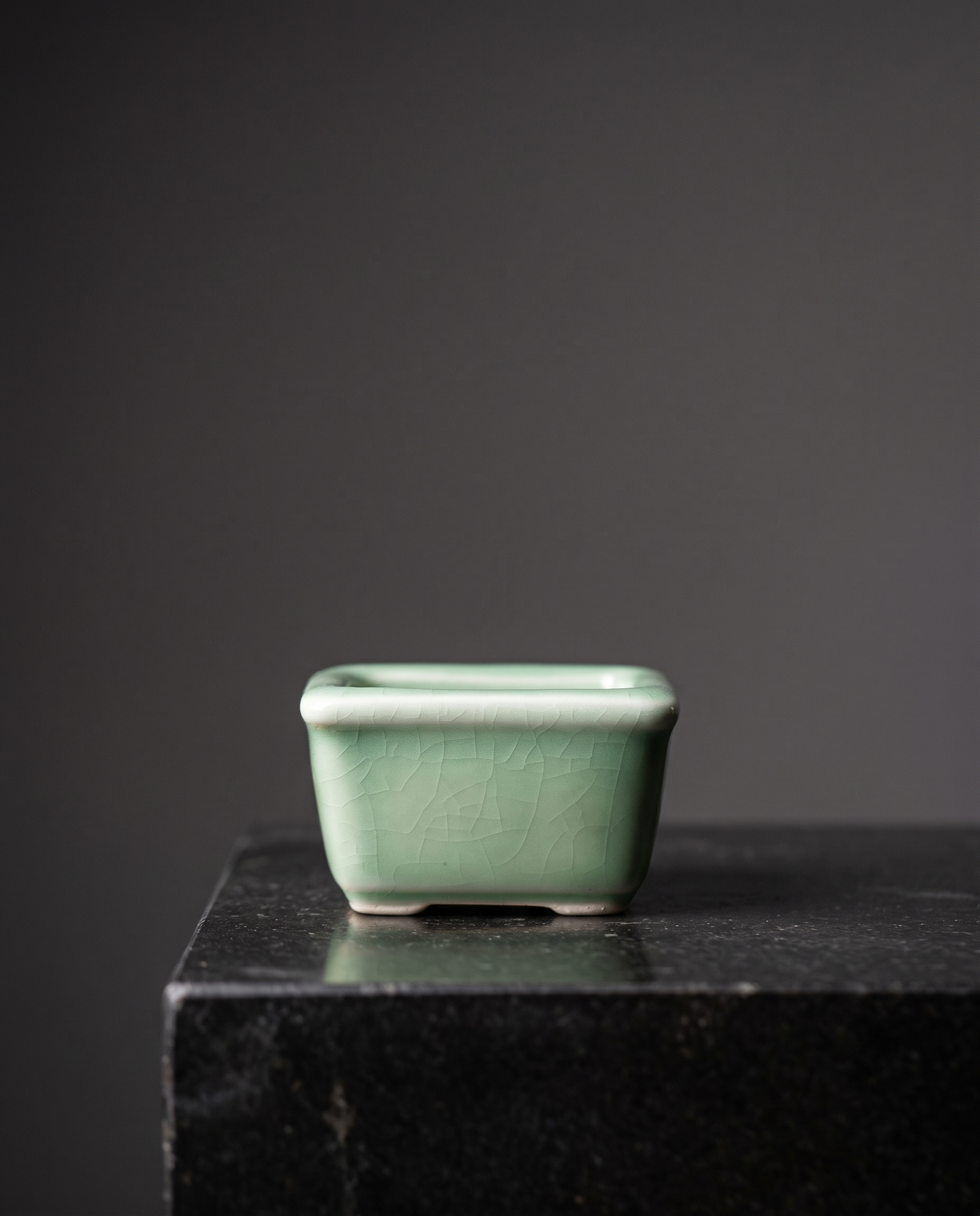 Rectangle Crack-Glaze Succulent Pot — Celadon Crackle - lifestyle