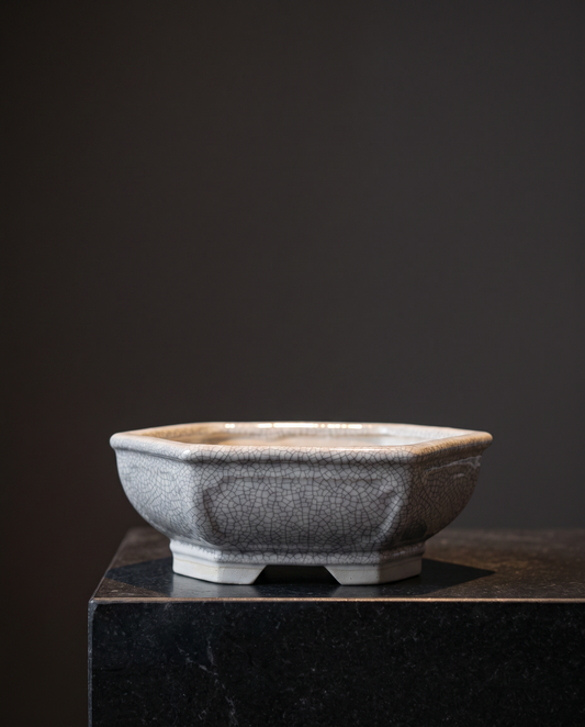 Ice-Crackle Glaze Flowerpot — Hexagon - lifestyle